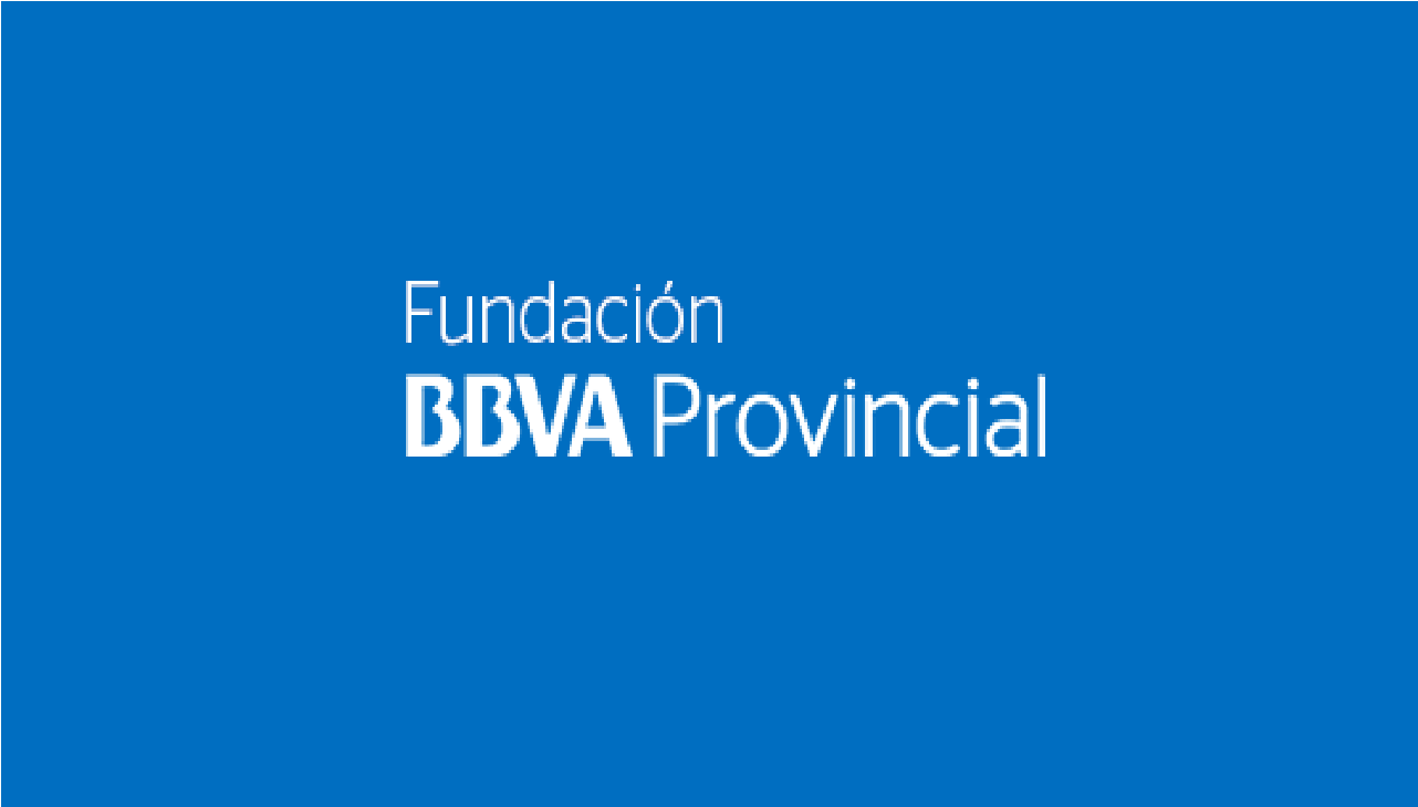 (c) Fundacionbbvaprovincial.com