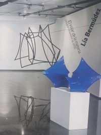 Lía Bermúdez – El volar de la materia