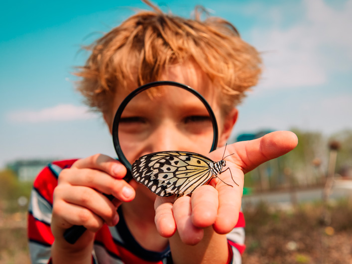 El misterio de la mariposa